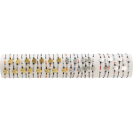 BRACELET CHIEN MFSI01 - TUBE 30cm