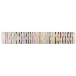 BRACELET BS07 - TUBE 40cm